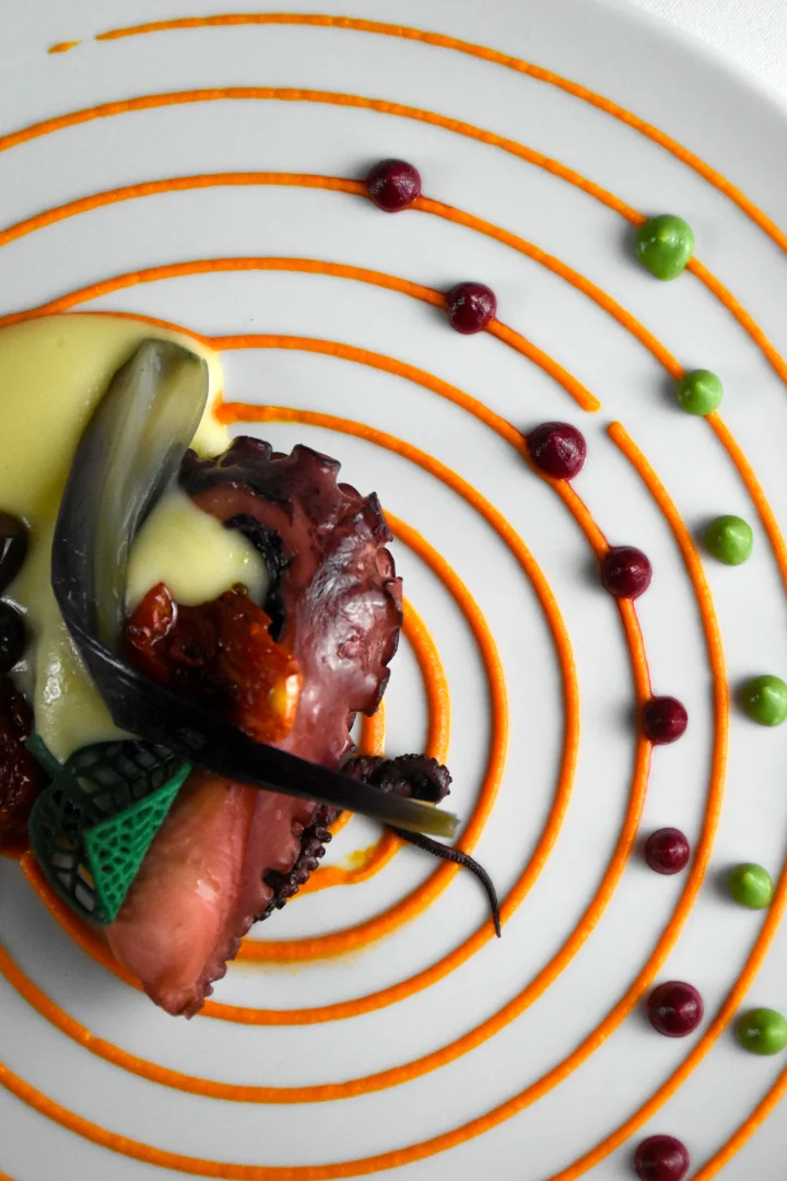 piatti-ristorante-mistral-vinovo-04
